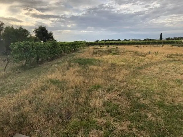 Second view of Homely land listing, 9260 Calder Highway, Irymple VIC 3498