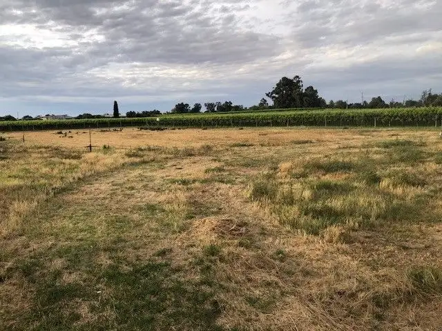 Third view of Homely land listing, 9260 Calder Highway, Irymple VIC 3498