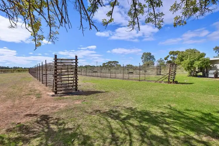 Fourth view of Homely rural property listing, 190 Dow Avenue, Irymple VIC 3498