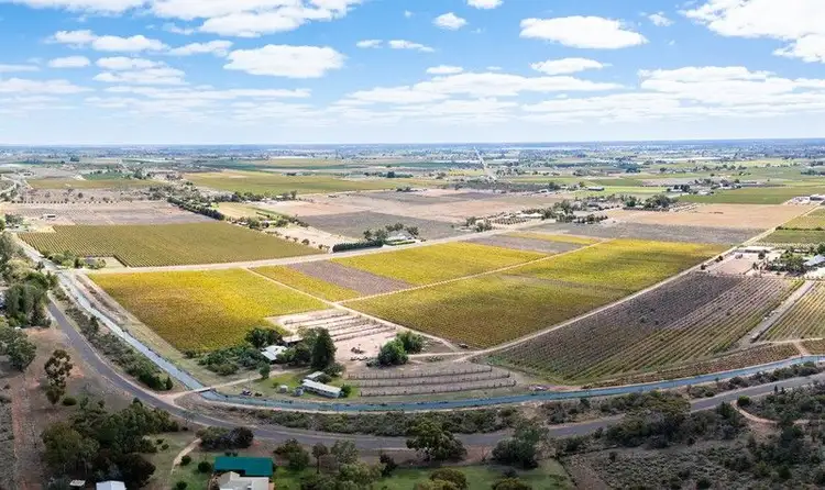 Sixth view of Homely rural property listing, 190 Dow Avenue, Irymple VIC 3498
