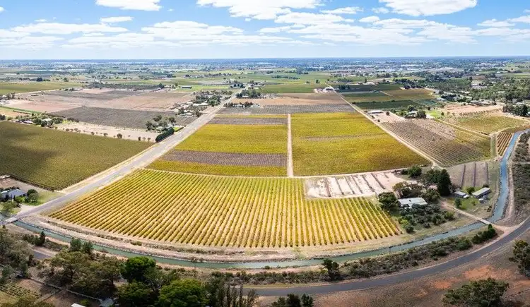 Seventh view of Homely rural property listing, 190 Dow Avenue, Irymple VIC 3498