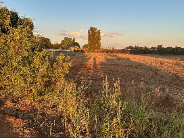 Third view of Homely rural property listing, Lot 2/1227 Karadoc Avenue, Irymple VIC 3498