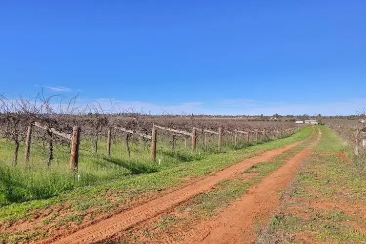 Fifth view of Homely rural property listing, 72 First Street, Yelta VIC 3505