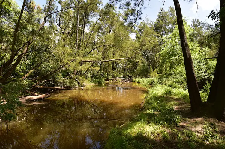 Fifth view of Homely rural property listing, 1882 Wollombi Road, Sweetmans Creek NSW 2325