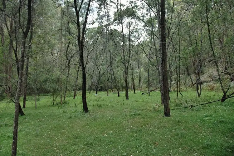 Second view of Homely rural property listing, Lot 85&149&213 Stockyard Creek Road, Paynes Crossing NSW 2325