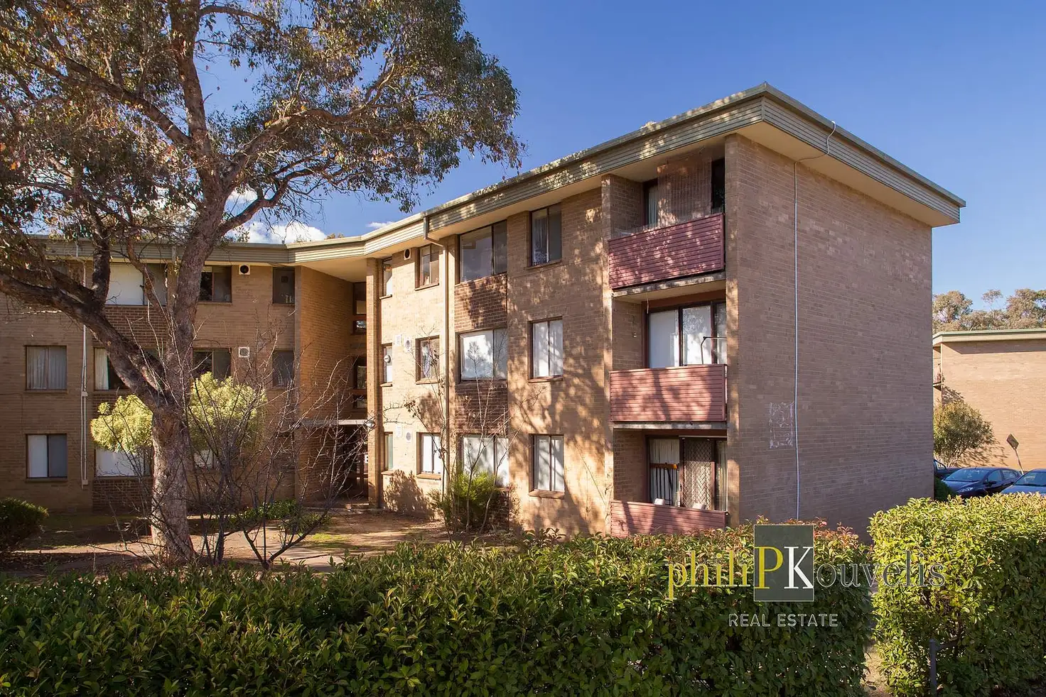 Main view of Homely unit listing, 60 Wattle Street, Lyneham ACT 2602