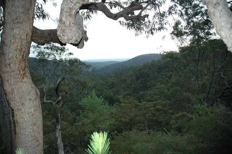 Second view of Homely rural property listing, Lot 107&182 Stockyard Creek Road, Paynes Crossing NSW 2325