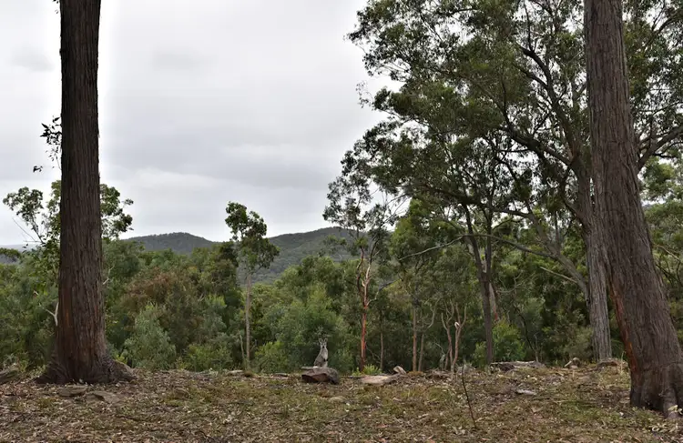 Third view of Homely house listing, 470 Milsons Arm Road, Wollombi NSW 2325