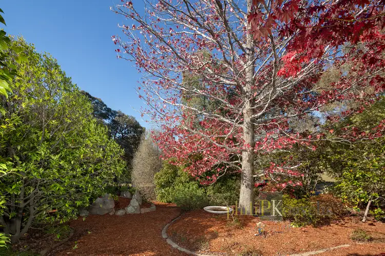 Second view of Homely house listing, 94 Batchelor Street, Torrens ACT 2607
