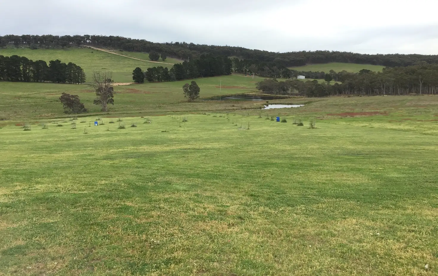 Main view of Homely rural property listing, 189 Bulls Pit Road, Brayton NSW 2579