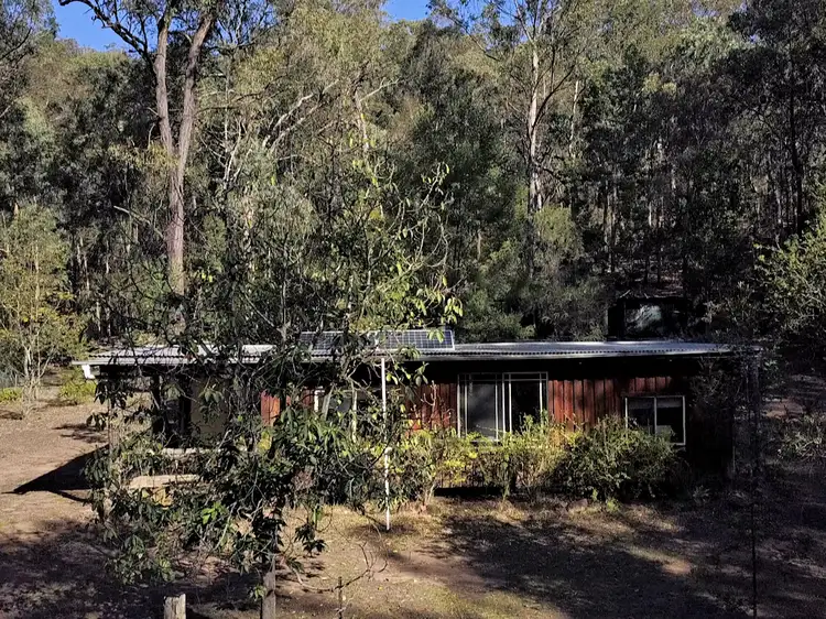 Main view of Homely rural property listing, 524 Finchley Track, Paynes Crossing NSW 2325