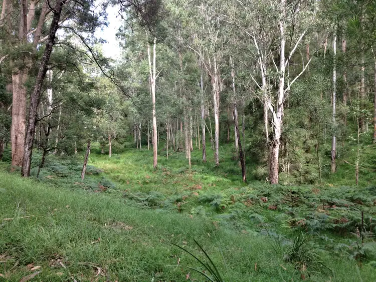 Sixth view of Homely rural property listing, 524 Finchley Track, Paynes Crossing NSW 2325