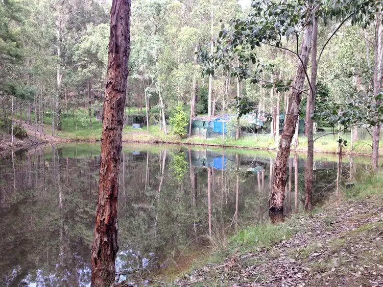 Seventh view of Homely rural property listing, 524 Finchley Track, Paynes Crossing NSW 2325