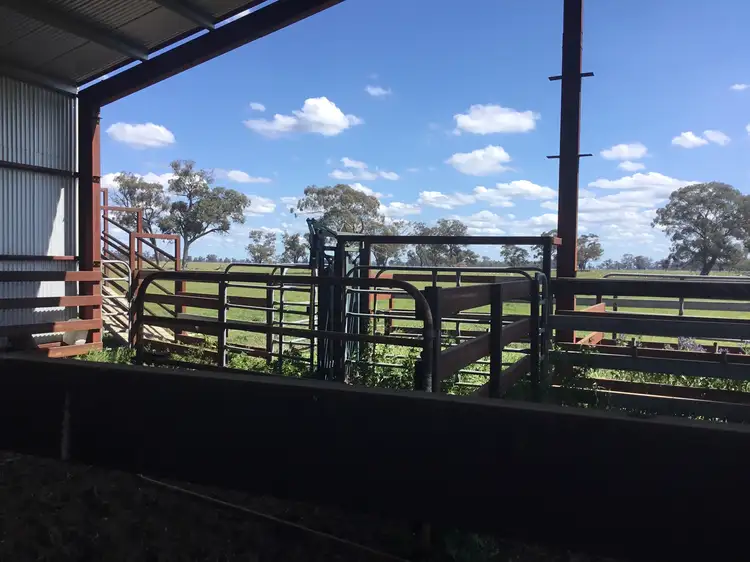 Fifth view of Homely land listing, 2 - Humeden Road, Collendina NSW 2646