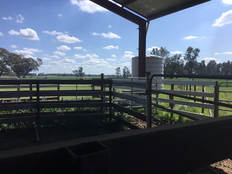 Sixth view of Homely land listing, 2 - Humeden Road, Collendina NSW 2646
