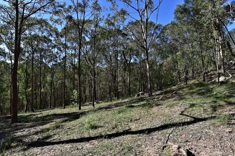 Fifth view of Homely land listing, Lot 42 Great North Rd, Laguna NSW 2325