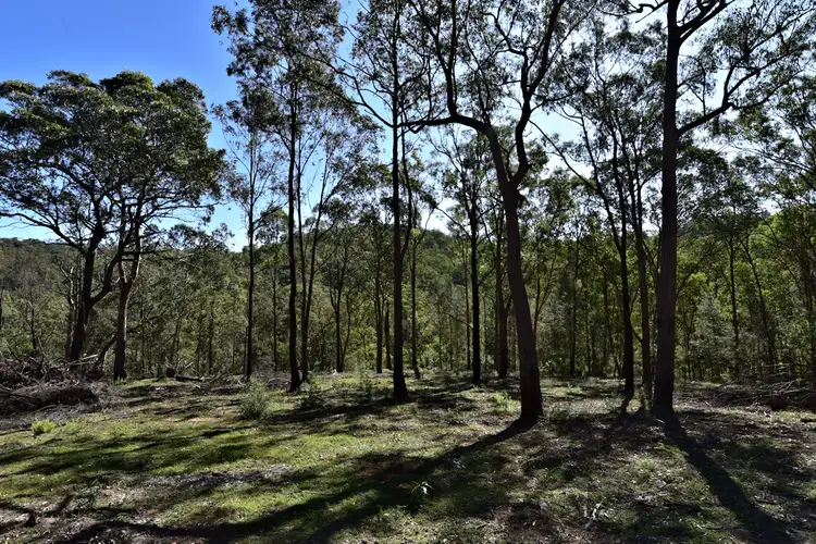 Sixth view of Homely land listing, Lot 42 Great North Rd, Laguna NSW 2325
