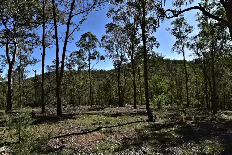 Seventh view of Homely land listing, Lot 42 Great North Rd, Laguna NSW 2325