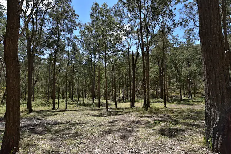 Second view of Homely rural property listing, Lot 3 Great North Road, Laguna NSW 2325