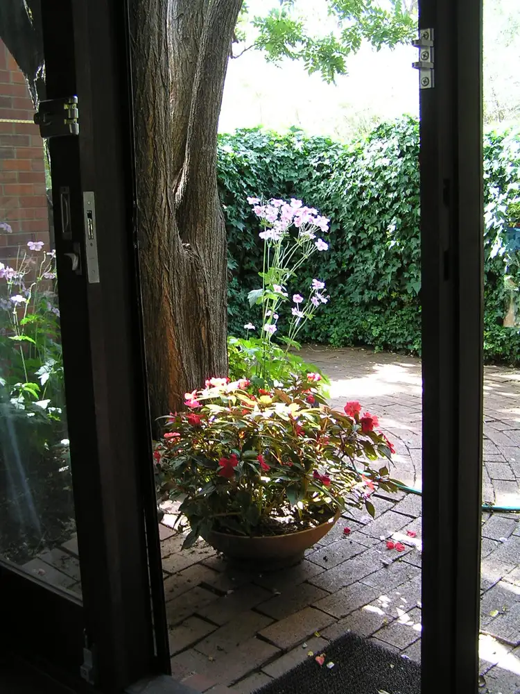 Sixth view of Homely house listing, 1 Holder Street, Turner ACT 2612