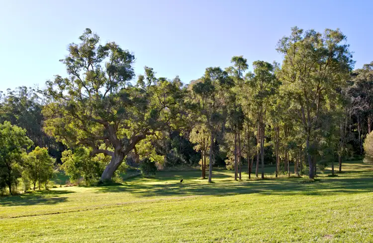 Fourth view of Homely rural property listing, Address available on request