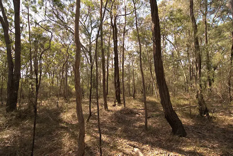 Fourth view of Homely land listing, Lot 137 Boree Valley Road, Laguna NSW 2325