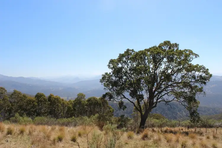 Lot 2 Springrove Lane, Murrurundi NSW 2338