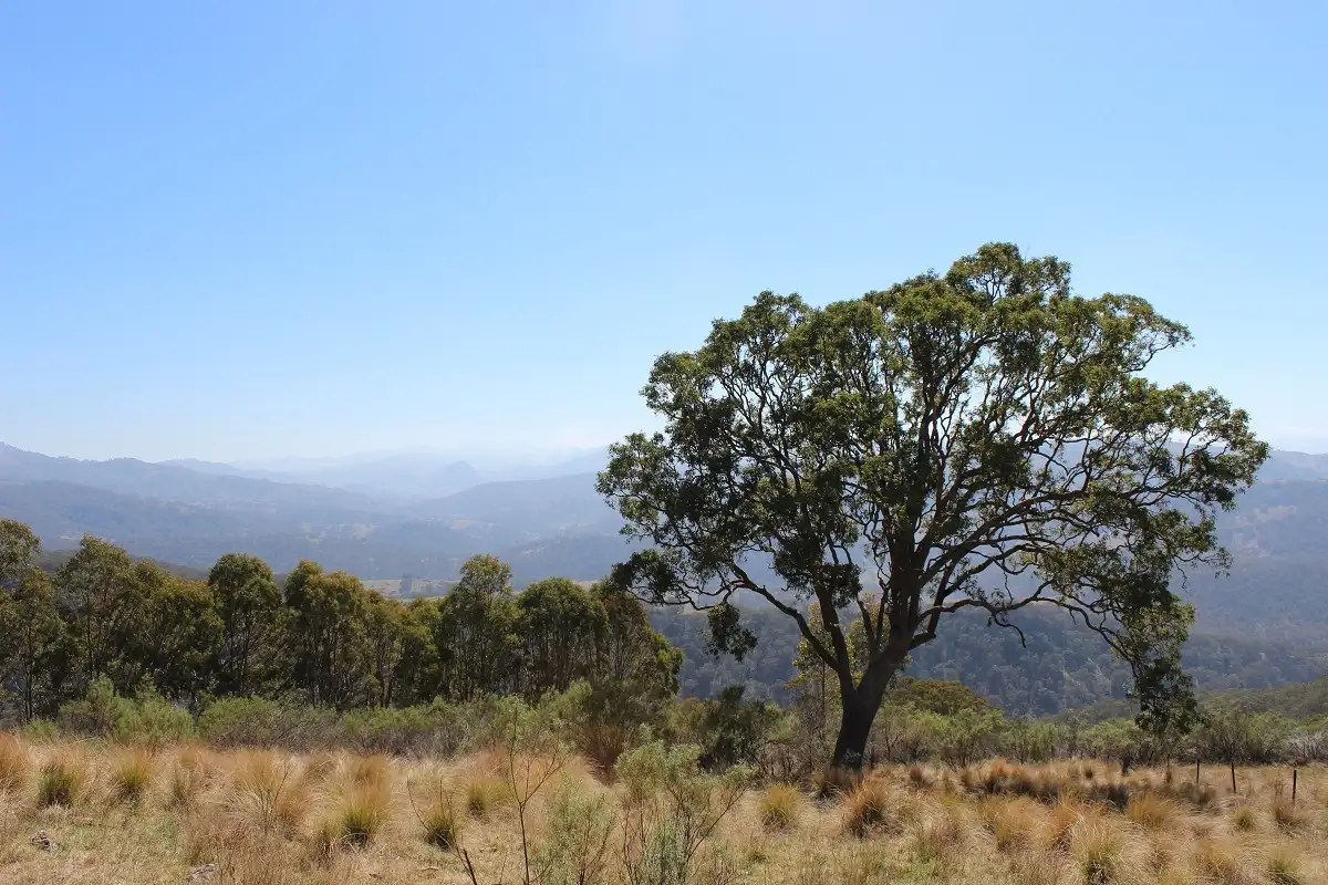 Main view of Homely land listing, Lot 2 Springrove Lane, Murrurundi NSW 2338