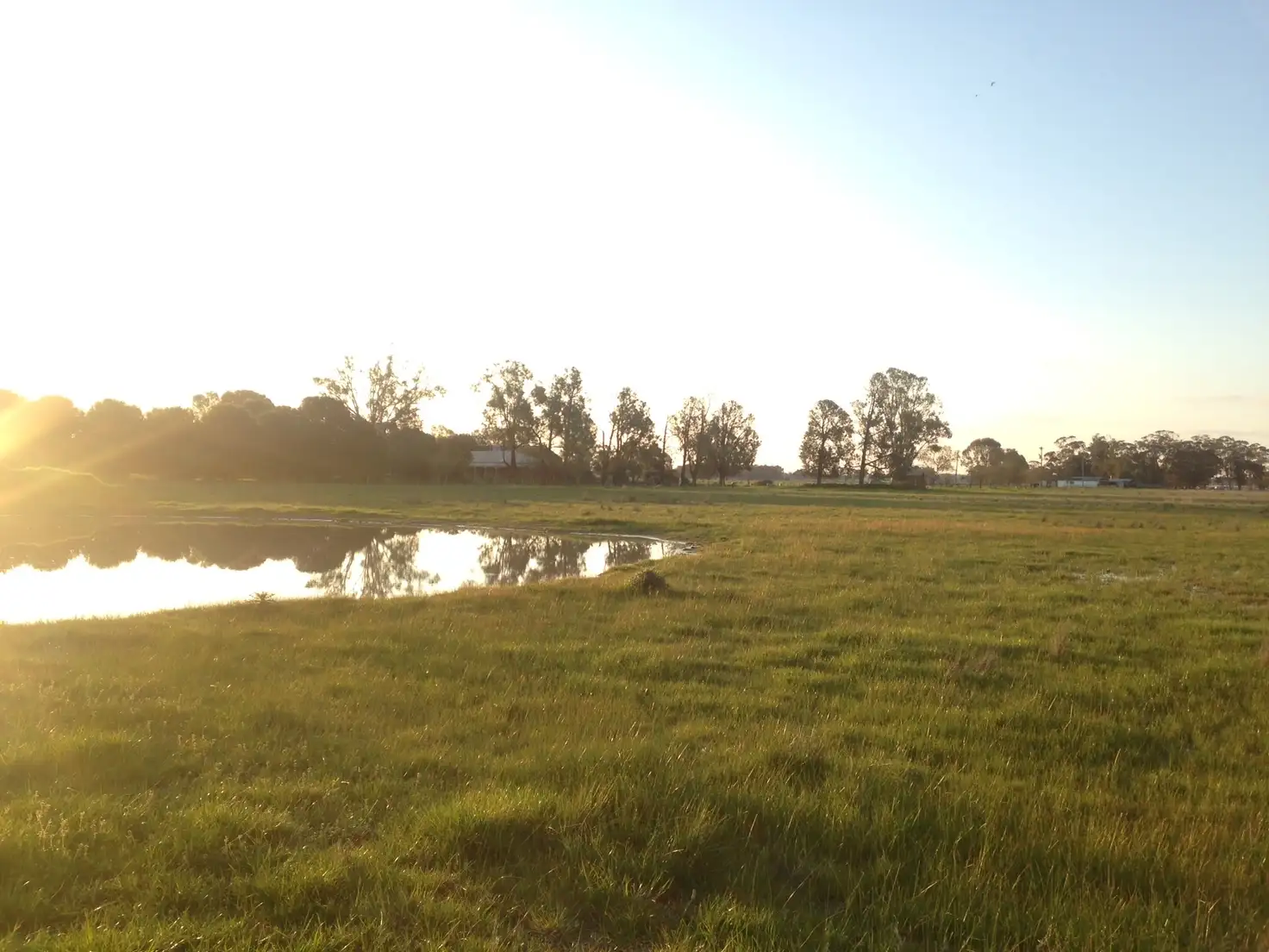 Main view of Homely land listing, 223 Spring Drive, Corowa NSW 2646