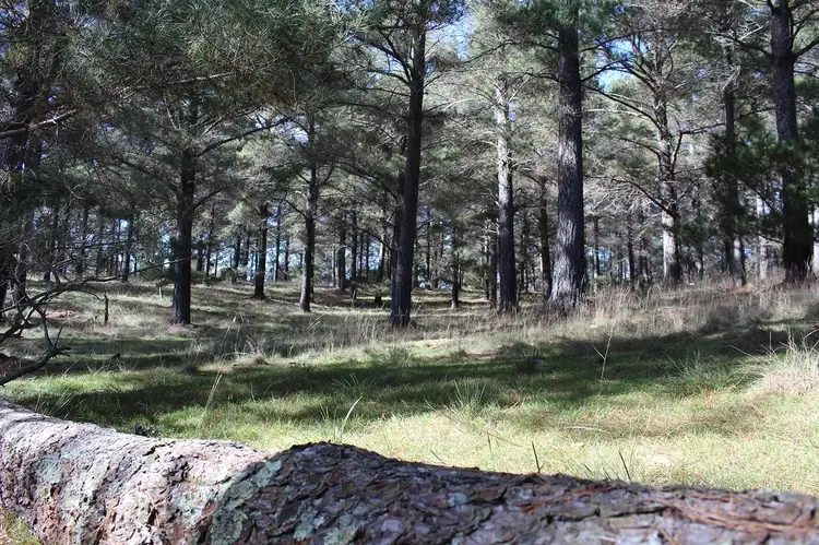 Fifth view of Homely land listing, Lot 2 Pine Bank Drive, Tarago NSW 2580