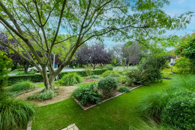 Second view of Homely house listing, 14 Chaffey Crescent, Ainslie ACT 2602