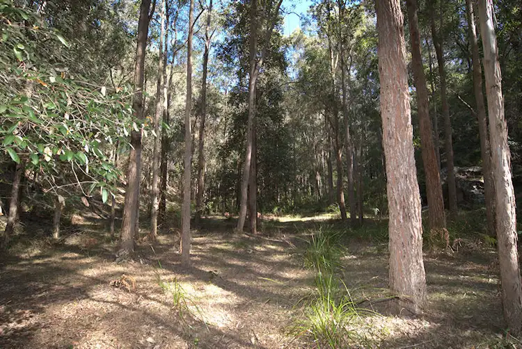 Sixth view of Homely land listing, Lot 137 Boree Valley Road, Laguna NSW 2325