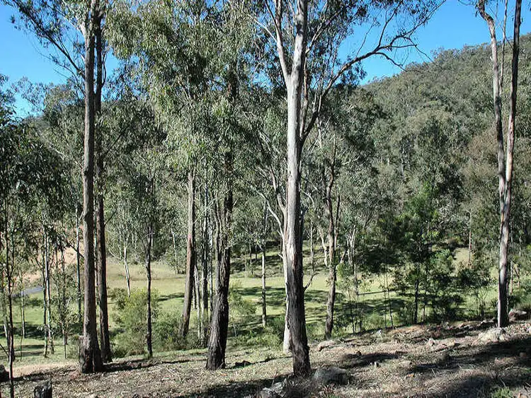 Second view of Homely rural property listing, Address available on request