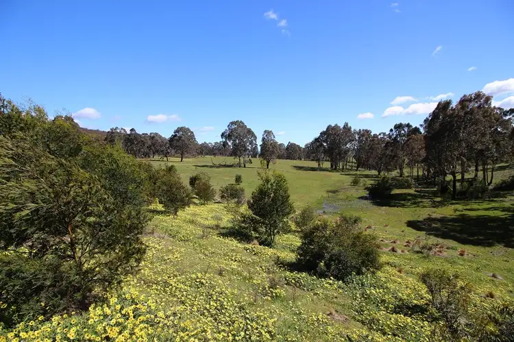 Fourth view of Homely land listing, Samuals Lagoon Collector Road, Collector NSW 2581