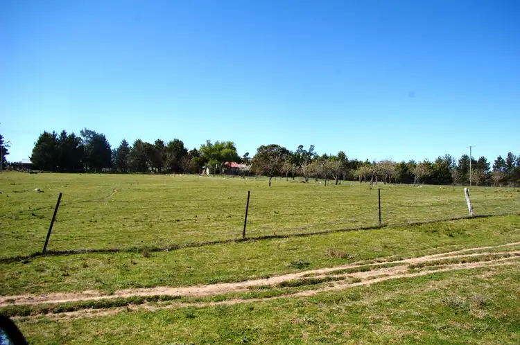 Seventh view of Homely rural property listing, 250 Eastern Avenue, Kentucky NSW 2354