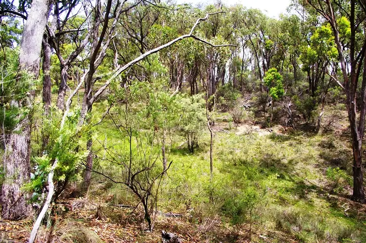 Fourth view of Homely land listing, 65 Rocklea Road, Invergowrie NSW 2350