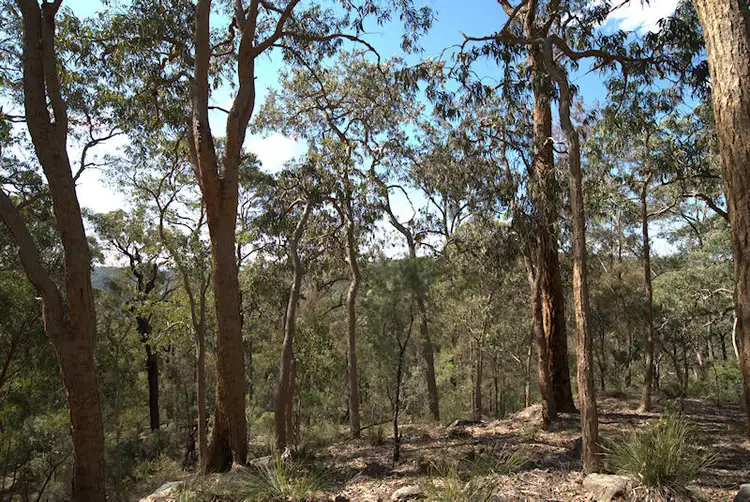 Third view of Homely land listing, Lot 137 Boree Valley Road, Laguna NSW 2325