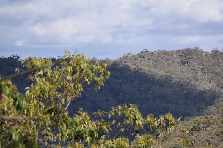 Fifth view of Homely rural property listing, 152 Quart Pot Creek Rd, Laguna NSW 2325