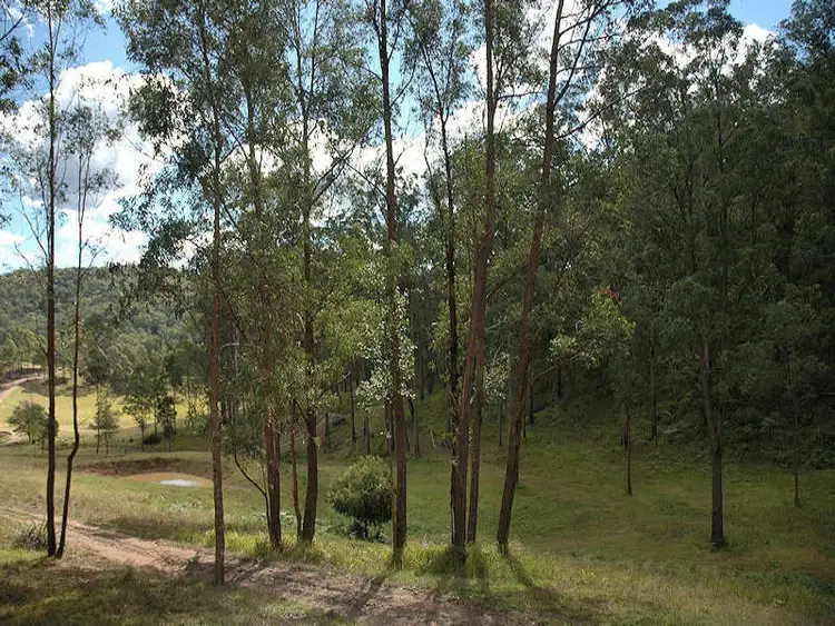Main view of Homely rural property listing, 3 Cagney Road, Laguna NSW 2325