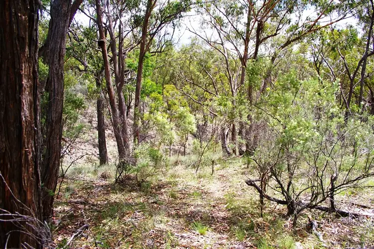 Third view of Homely land listing, 65 Rocklea Road, Invergowrie NSW 2350