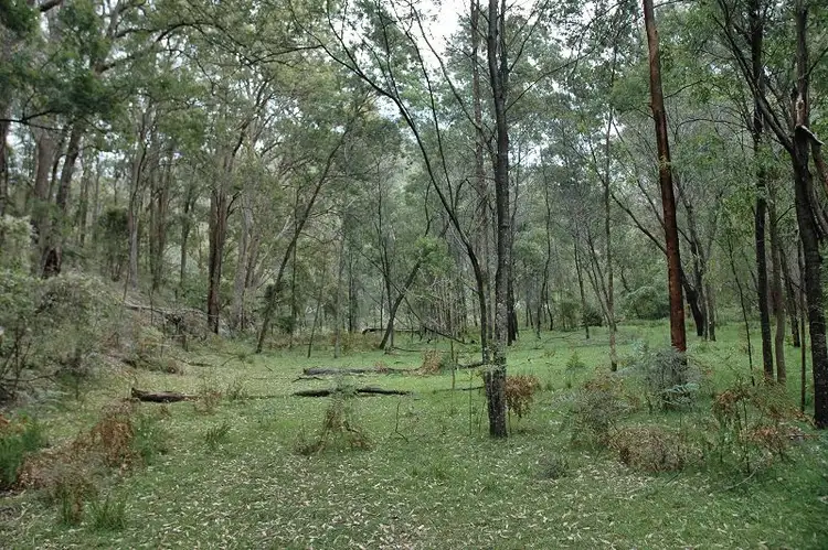 Fifth view of Homely rural property listing, Lot 85&149&213 Stockyard Creek Road, Paynes Crossing NSW 2325