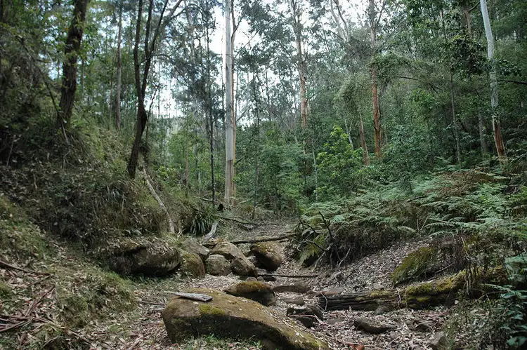 Fourth view of Homely rural property listing, Lot 107&182 Stockyard Creek Road, Paynes Crossing NSW 2325