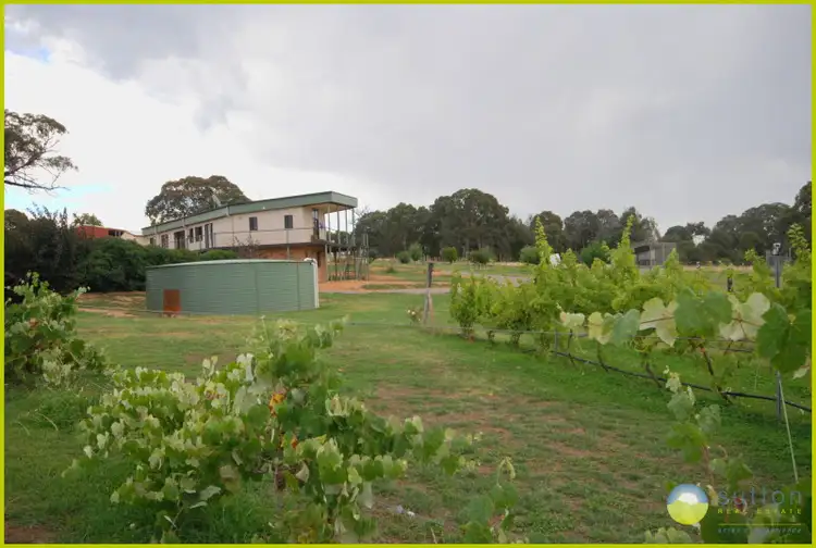 Seventh view of Homely rural property listing, 4410 Gundaroo Road, Gundaroo NSW 2620