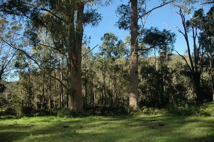 Second view of Homely rural property listing, 4543 Great North Road, Laguna NSW 2325
