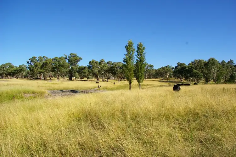 Fifth view of Homely rural property listing, 3242 Thunderbolts Way, Uralla NSW 2358