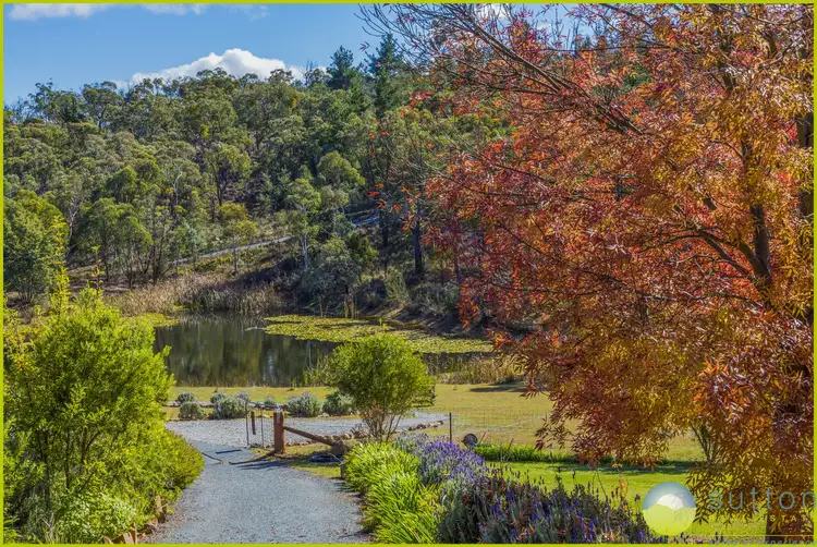 Second view of Homely rural property listing, 570 Trig Lane, Carwoola NSW 2620