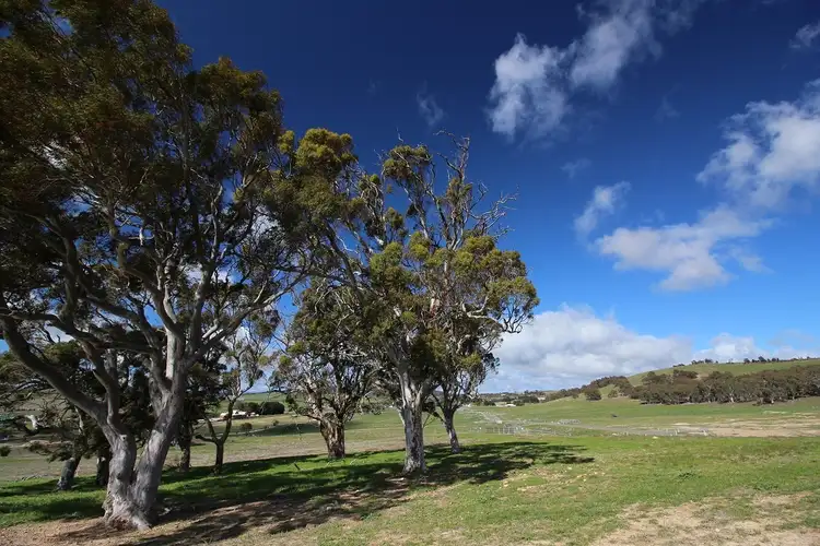 Sixth view of Homely land listing, 30 Mulwaree Street, Tarago NSW 2580