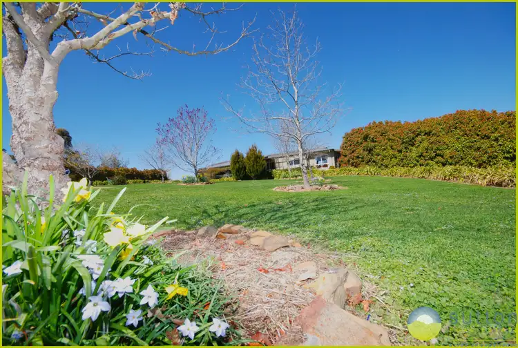 Sixth view of Homely rural property listing, 443 Denley Drive, Wamboin NSW 2620