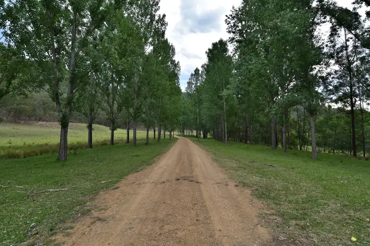 Third view of Homely rural property listing, 76 Stockyard Creek Road, Paynes Crossing NSW 2325