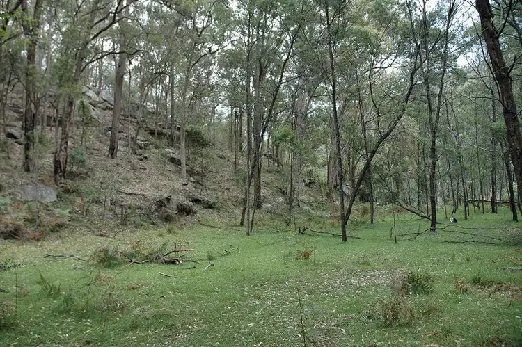 Fourth view of Homely rural property listing, Lot 85&149&213 Stockyard Creek Road, Paynes Crossing NSW 2325